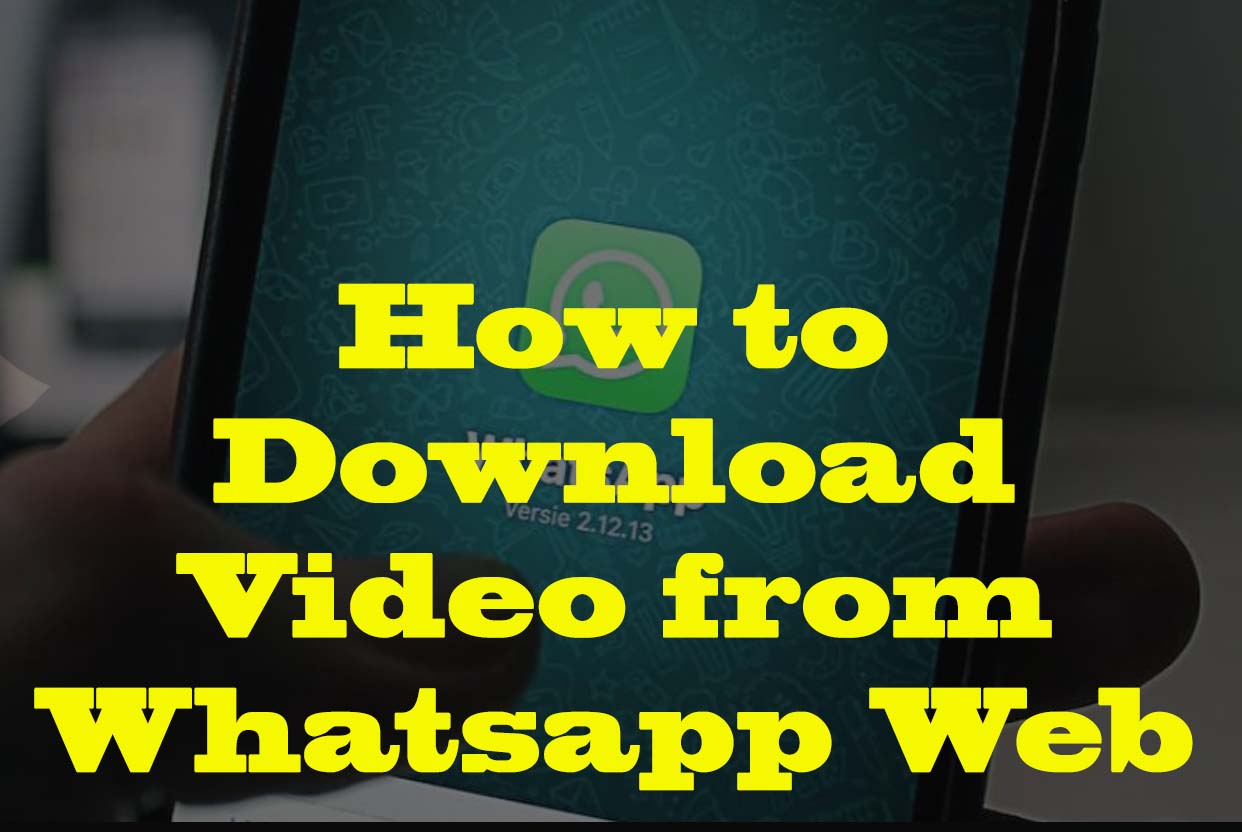 How to Download Video from Whatsapp Web