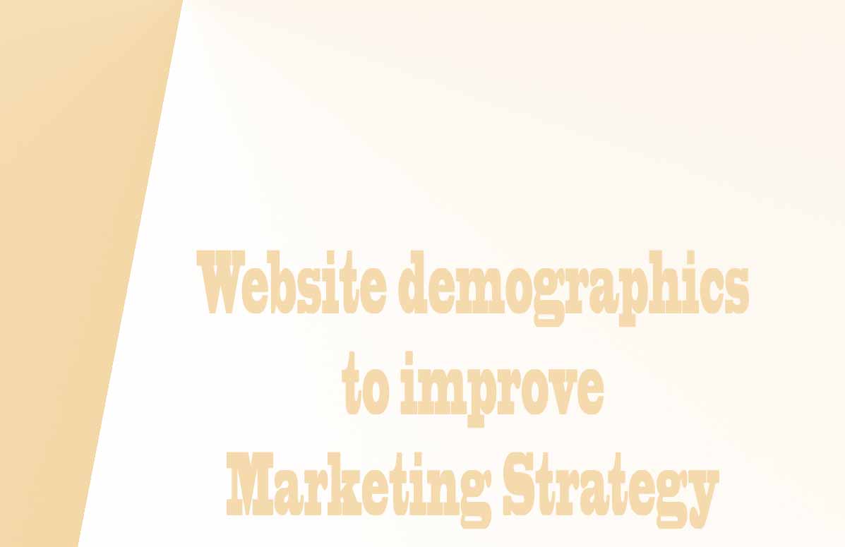 Website demographics to improve marketing strategy