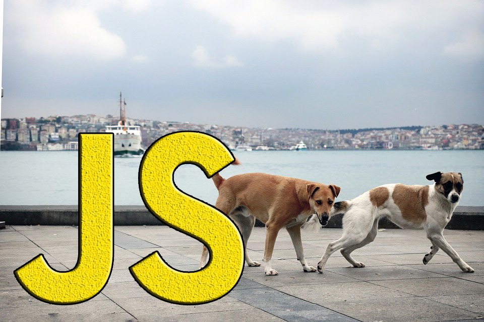 Using Fetch in Javascript to get data from an API